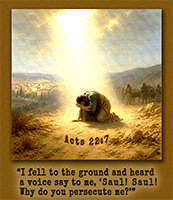 Click to enlarge this picture of Acts 22:7 in action. Picture of Acts 22:7 in action
