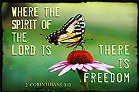 See the enlargement of Warren's custom Scripture picture.