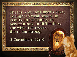 Click to enlarge Warren's custom Scripture picture of 2 Corinthians 12:10. See the enlargement of Warren's custom Scripture picture of 2 Corinthians 12:10.