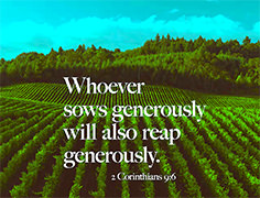 Click to enlarge Warren's custom Scripture picture. See the enlargement of Warren's custom Scripture picture.