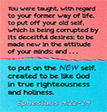 Click to enlarge Warren Camp's custom Scripture picture of Ephesians 4:22–24 NIV. Warren Camp's custom Scripture picture of Ephesians 4:22–24 NIV
