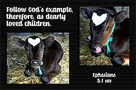 Click to enlarge Warren Camp's custom Scripture picture of Ephesians 5:1 NIV. Warren Camp's custom Scripture picture of Ephesians 5:1 NIV