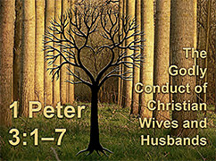 Thumbnail of Warren Camp's '1 Peter 3:1–7' Scripture picture
