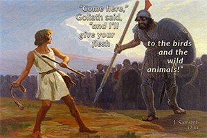 Click to enlarge Warren Camp's Scripture picture of 1 Samuel 17:44 NIV. Warren Camp's Scripture picture of 1 Samuel 17:44 NIV