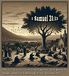 Click to enlarge Warren Camp's Scripture picture of 1 Samuel 31:13 NIV. Warren Camp's Scripture picture of 1 Samuel 31:13 NIV